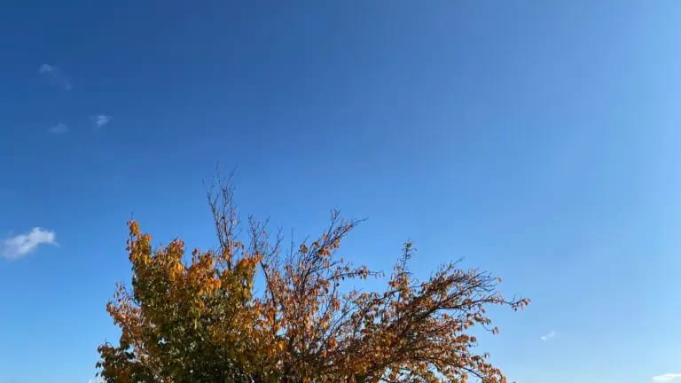 Beau temps et douceur règnent cet après-midi dans l’Hérault et le Gard