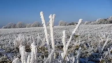Gelées blanches ce lundi matin : jusqu’à -5°C dans l’Hérault et le Gard