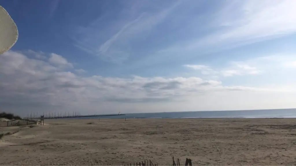 Gard : arrivée des entrées maritimes depuis la Camargue !