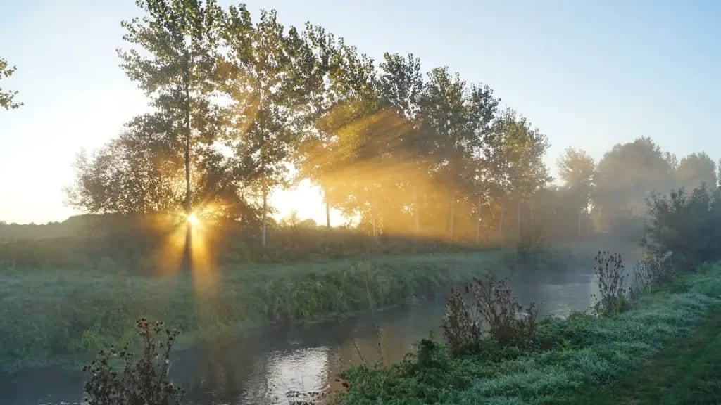Ce jeudi matin : encore de petites gelées dans l’Hérault et le Gard
