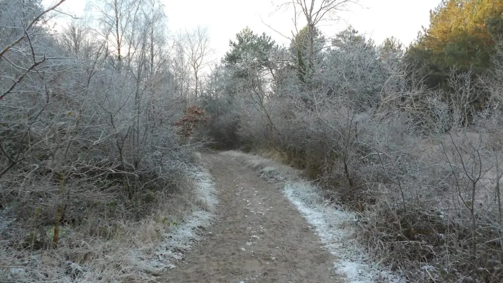 Fortes gelées en Occitanie : jusqu’à -6°C près de Montpellier ce dimanche matin !