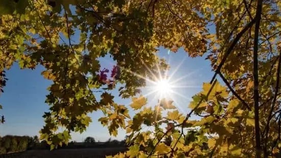 Météo : quel temps pour ce réveillon de Noël ?