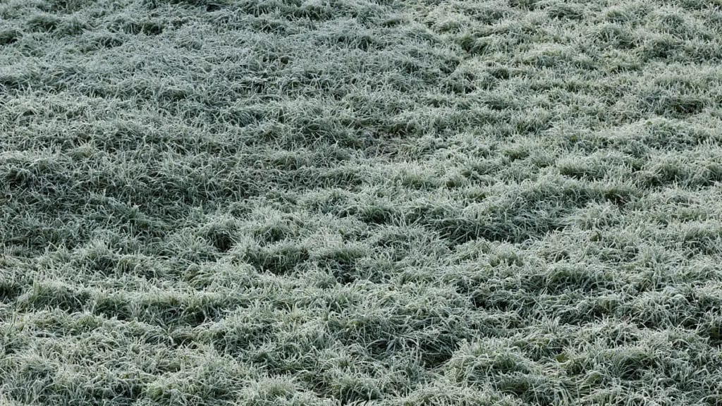 Météo : les gelées sont de retour ce samedi matin sur la région