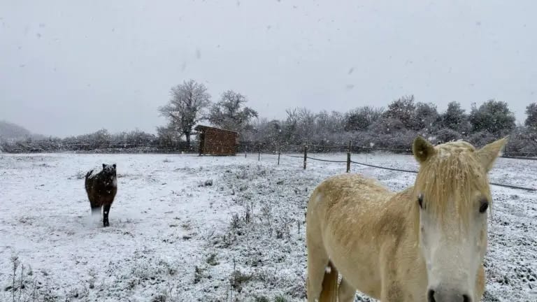 Gard : plusieurs centimètres de neige en plaine