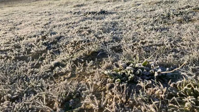 Météo : bref coup de froid, jusqu’à 2°C voire 0°C localement la nuit prochaine en plaine !