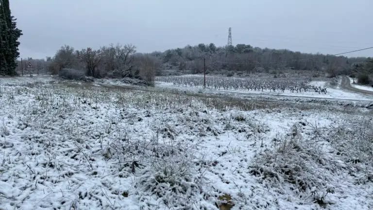 Ce soir : nouvelles chutes de neige en plaine ?