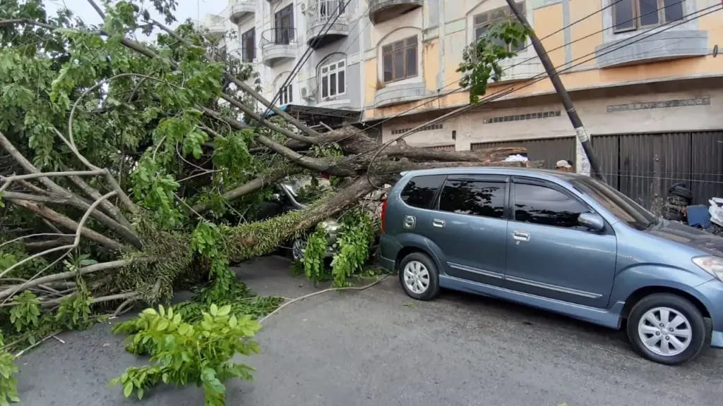 Météo : risque de tempête sous surveillance pour la fin de semaine en Occitanie