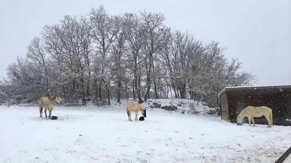 Météo : l’hiver et le froid sont-ils vraiment derrière nous ?