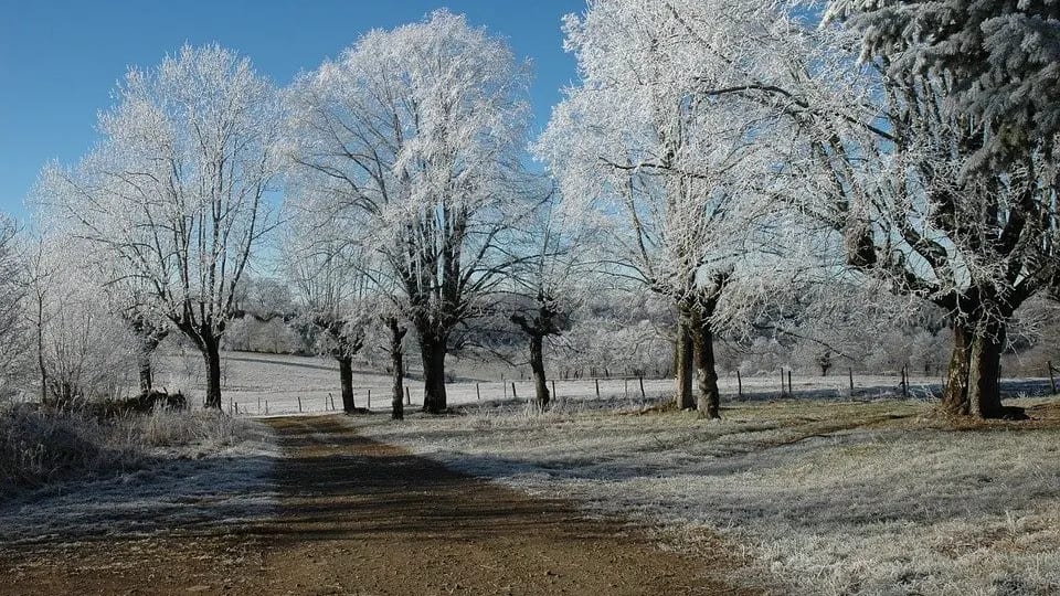 Météo : retour des gelées jusqu’en plaine ces prochains jours en Occitanie