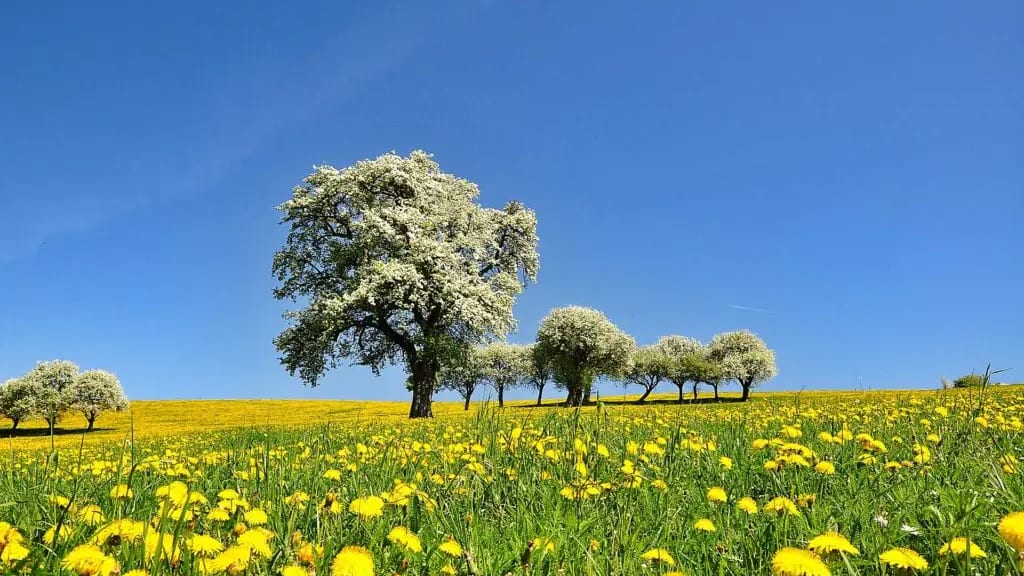 Printemps météo