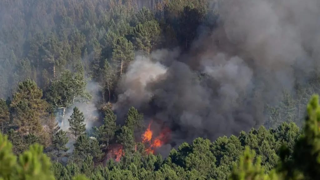 Gard : Emmanuel Macron en déplacement pour la lutte contre les feux de forêt