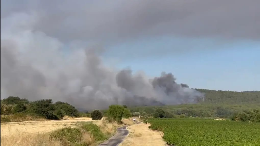 Gard : un violent feu de forêt détruit un centre équestre près de Vallabrix