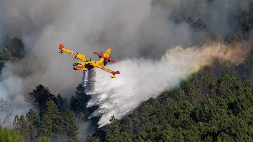 Feux de forêt : plus de 1000 hectares détruits depuis hier dans le Gard