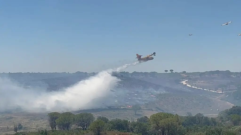 Gard : virulent incendie en cours au Sud de Nîmes
