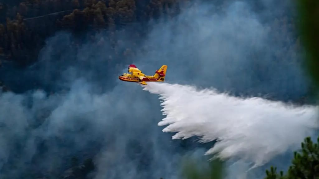 Gard : le risque d’incendie en augmentation suite au mistral annoncé dans les prochains jours