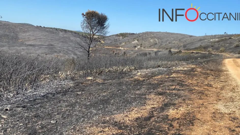 Photos. Incendie : après le feu, des paysages lunaires apparaissent à Aumelas