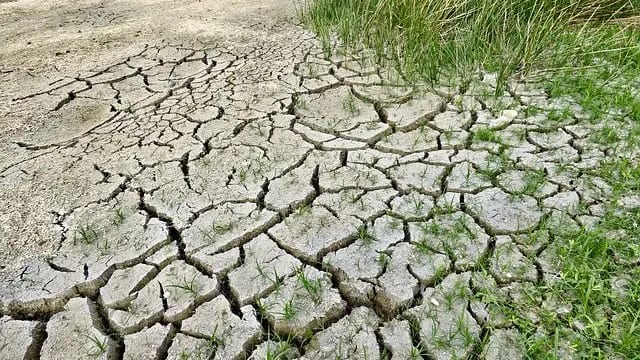 Sécheresse dans le Gard : une situation exceptionnelle qui persiste