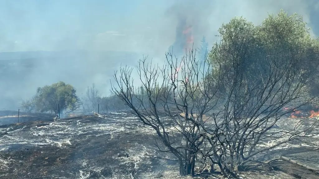 Hérault : un incendie détruit plusieurs caravanes près de Pézenas