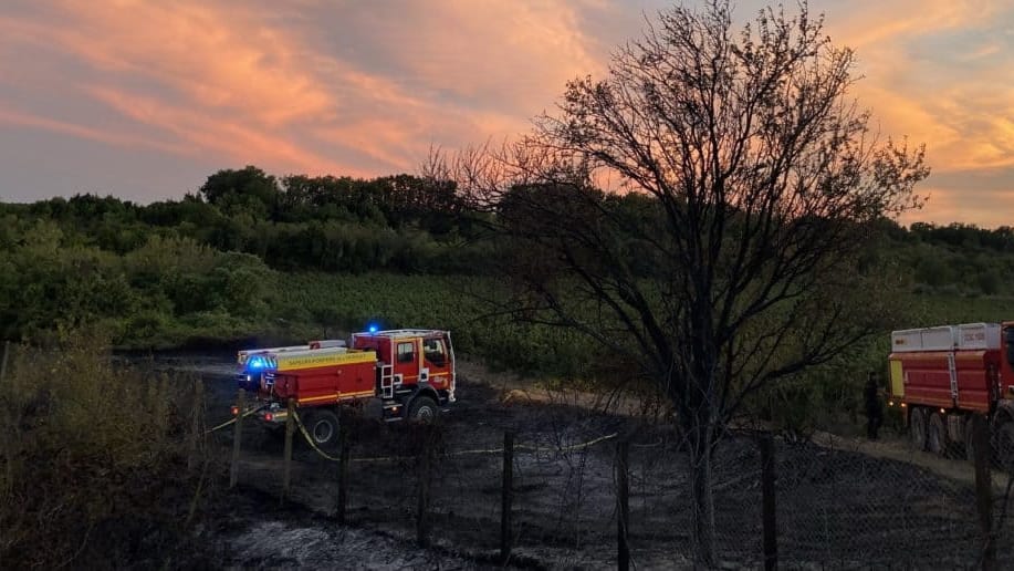 Hérault. Pezenas : un feu de végétation se déclare à proximité de la base Intermarché