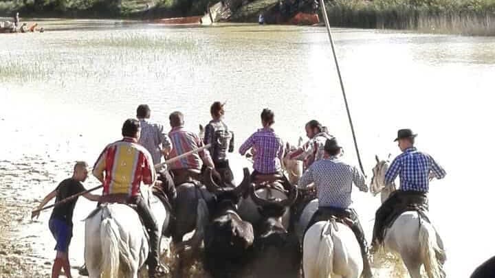Gard : grande fête des vendanges ce week-end à Saint-Maurice-de-Cazevieille