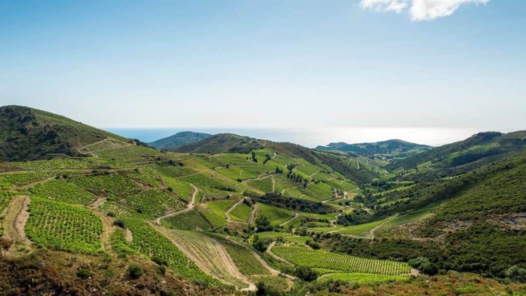 Occitanie : élue meilleure région européenne pour l’agriculture biologique