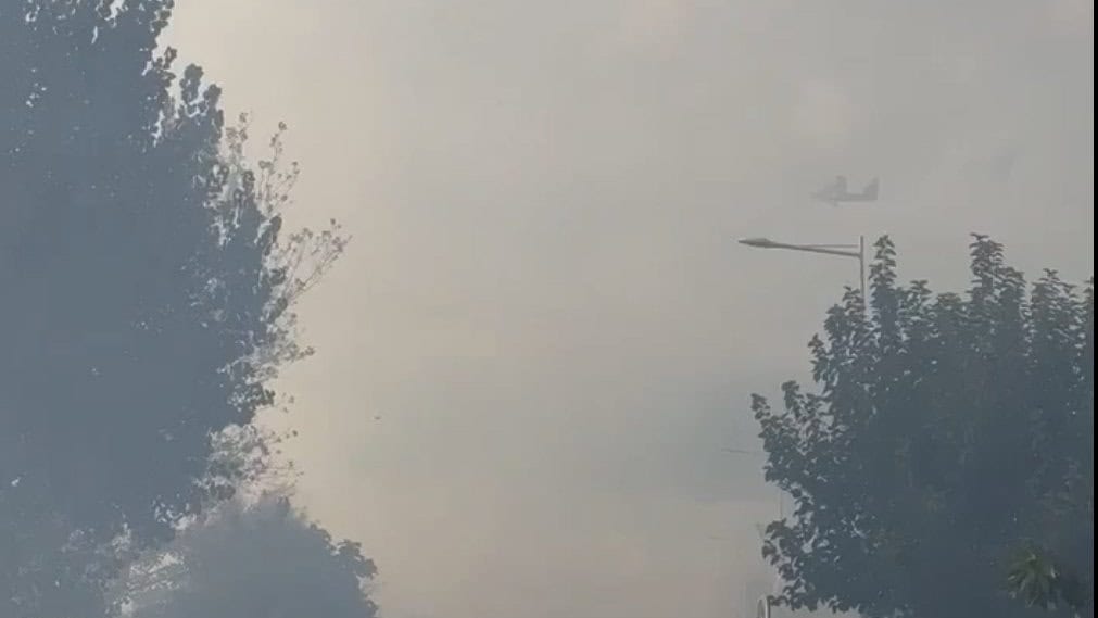 Hérault : un incendie est en cours à Frontignan-Plage, les canadairs sur place