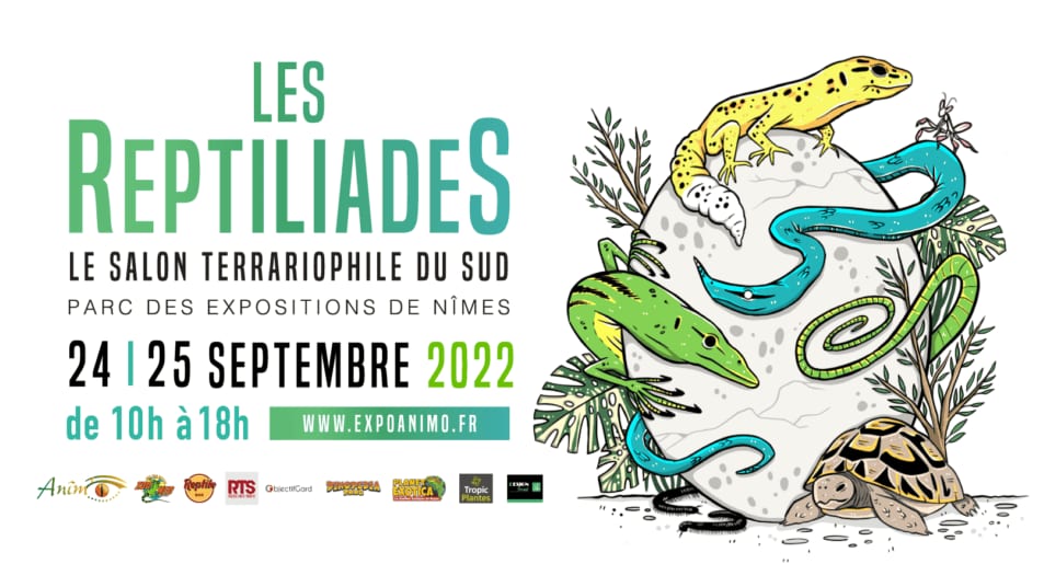 Agenda : venez à la découverte de centaines de reptiles à l’occasion des « Reptiliades » au parc expo de Nîmes