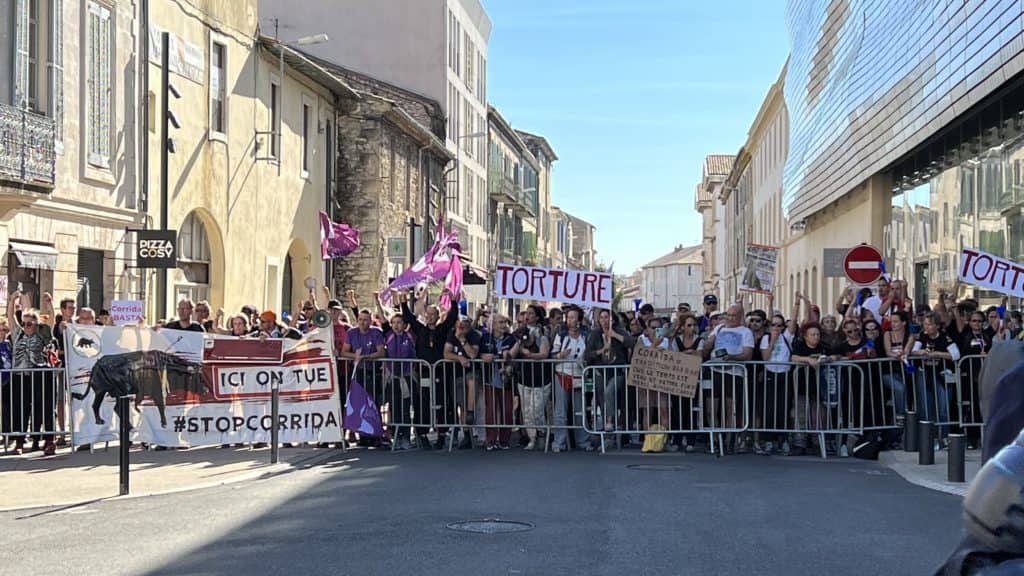Gard. Nîmes : « ici on tue, stop corrida ! » Des centaines de manifestants mobilisés ce samedi