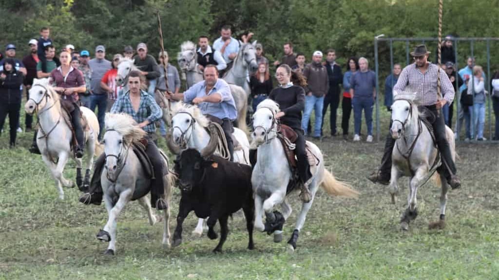 Hérault : Daniel Guichard et Ricoune à l’affiche de la fête d’hiver de Mudaison du 18 au 20 novembre