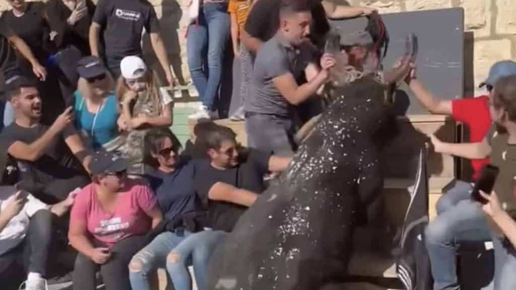 Gard : grosse frayeur à Aigues-Mortes où un taureau saute dans les gradins