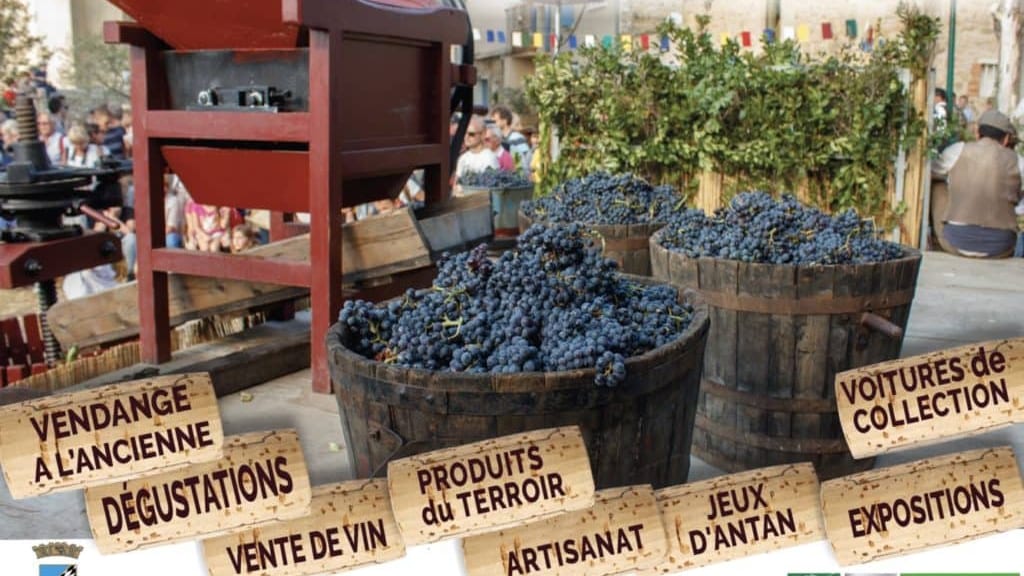 AGENDA. Gard : les vendanges de l’histoire sont de retour à Chusclan