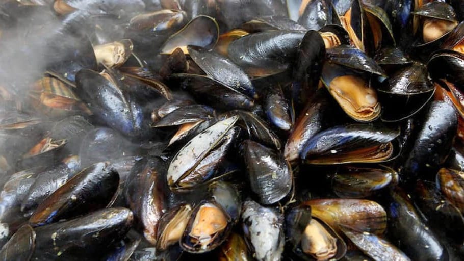 Consommation : restriction de récolte, de commercialisation et de consommation des moules et palourdes de l’étang de Thau