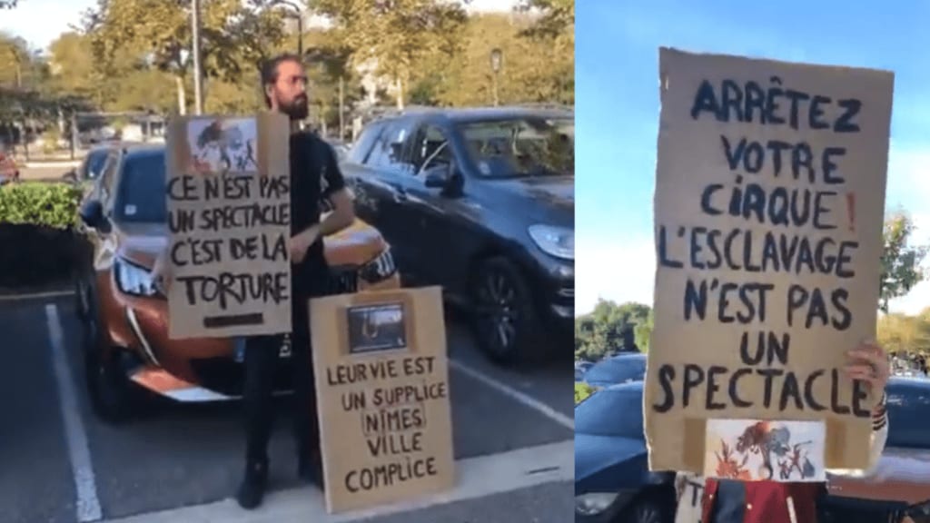 Nîmes : vive altercation entre des militants antispécistes et le cirque de Venise ce dimanche