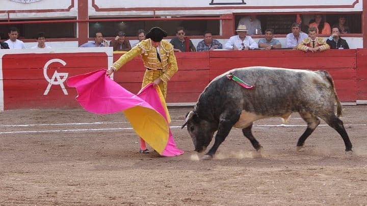 Corrida : le projet de loi pour abolir la « tradition » débattu cette semaine à l’Assemblée Nationale