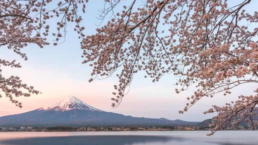 Occitanie : la semaine du Japon s’installe du 25 novembre au 2 décembre