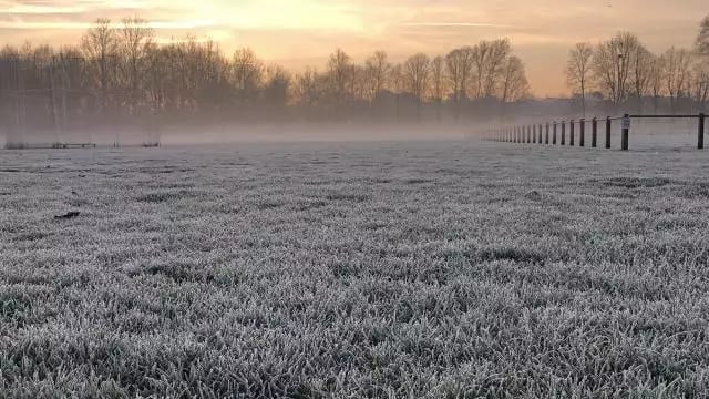 Fortes gelées : jusqu’à -7°C relevés dans le Gard et l’Hérault