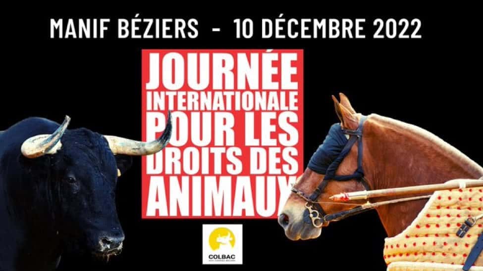 Béziers : une manifestation anti-corrida annoncée ce samedi