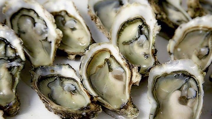Bassin de Thau : la vente de coquillages interdite suite à une contamination au NOROVIRUS