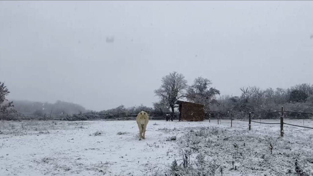 Météo : le Gard était sous la neige il y a deux ans jour pour jour !