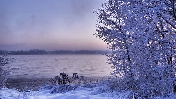 Météo : vers de fortes gelées dimanche et lundi dans le Languedoc