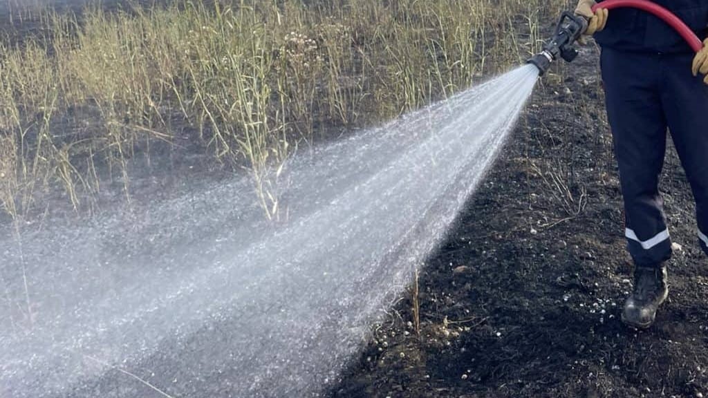 Nîmes : un feu de détritus se propage à la végétation occasionnant des perturbations sur l’A9
