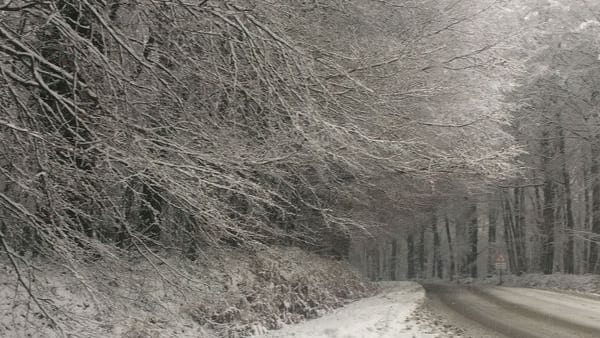 Neige et verglas : les transports scolaires sont suspendus en Lozère