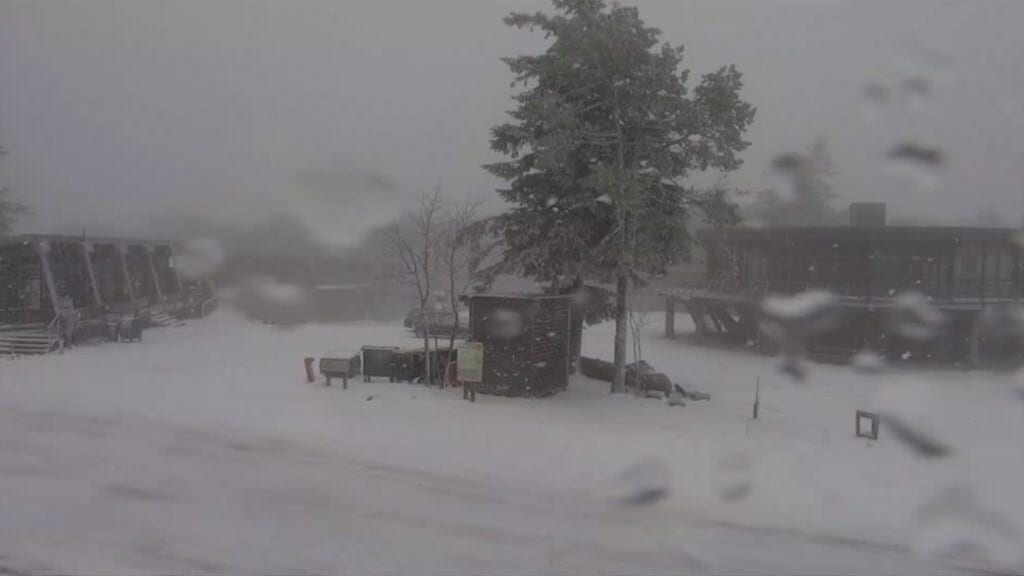 Gard : la neige tombe à gros flocons au Mont-Aigoual, déjà plusieurs centimètres