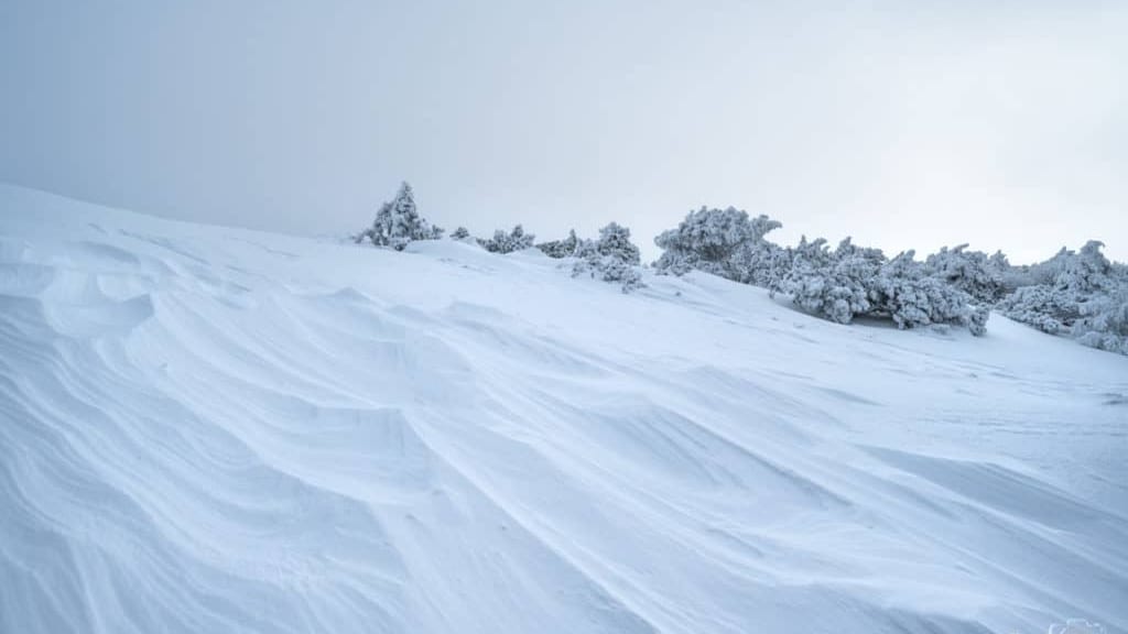 Gard : les photos du Mont-Aigoual sous la tempête et la neige