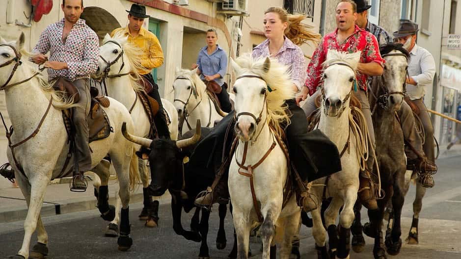 Gard : le 25 ème Festival du film taurin et camarguais aura lieu du 24 au 26 février