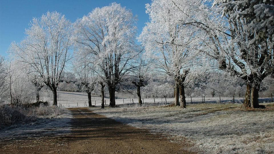 Météo gelées