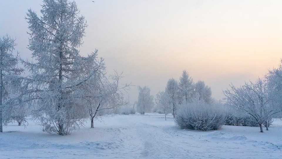 gelées météo