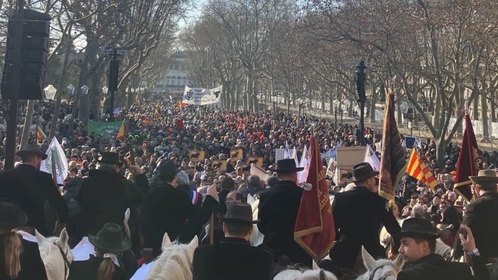 Montpellier : plus de 15 000 personnes mobilisées pour défendre les traditions ce samedi