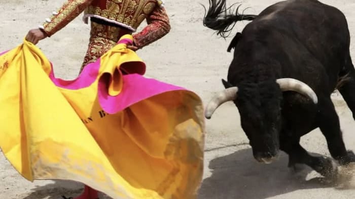 Corrida : retour de la mise à mort dans les arènes de Pérols