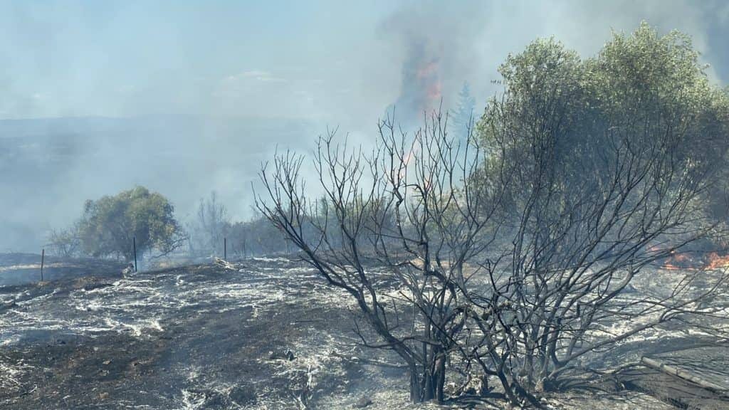 Feux de forêt : avec 28 300 hectares brûlés, la saison 2022 a été intense pour les pompiers